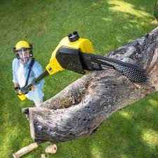 Best Lawn Watering Services  in Stuart, FL